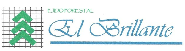 Captura de pantalla 2025-06-21 132833